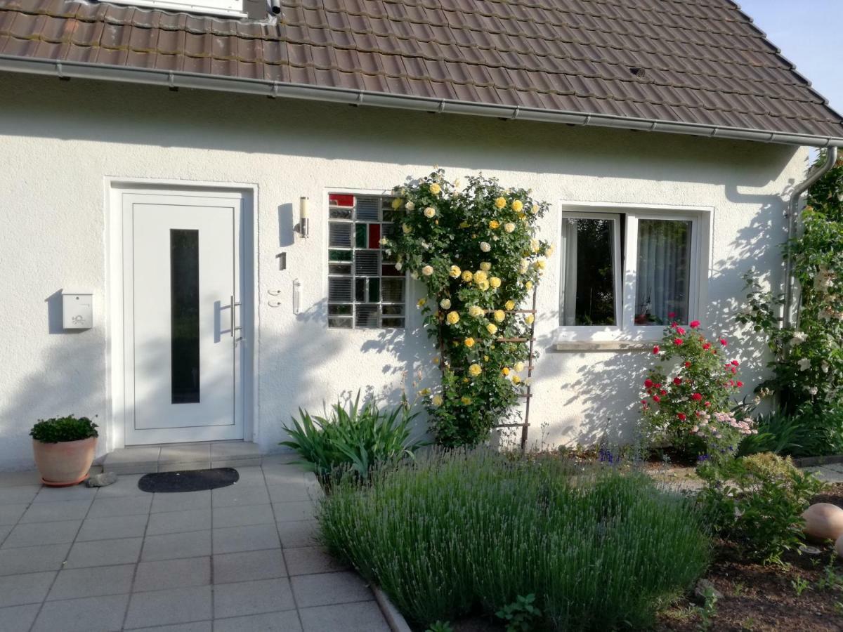 Ferien-Appartement Goldhausen エクステリア 写真